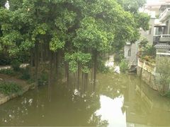 -小洲村