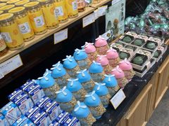 -皇冠幸福里动物奶油生日蛋糕(丹水池店)