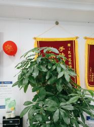 -资医堂·除疤祛痘祛斑