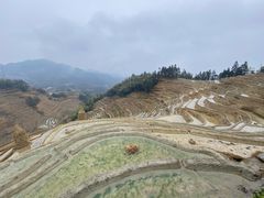 -紫鹊界梯田景区