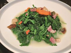 上汤桑叶苗-小资太太餐厅(南岗区店)