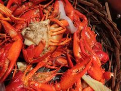 -蚝翅·海鲜粥·烧烤·宁夏滩羊季(玉米楼店)