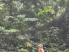 -杭州少年儿童公园