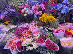 -花鸟鱼虫鲜花绿植市场(玉泉路店)
