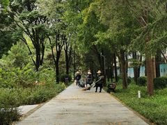 -黄村公园