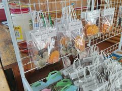 -蓝湾碧波·老字号·疍家非遗海上餐厅