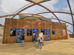 -怀托摩萤火虫洞