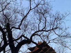 -东华门大街小区
