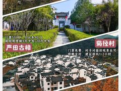 -婺源风景区