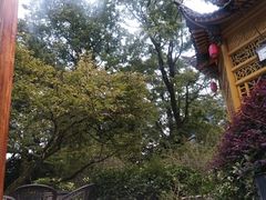 游乐设施-黄山温泉国际旅游度假区