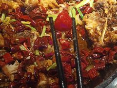 -老板恋上鱼(恒隆广场店)