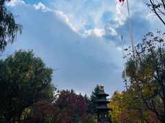 -哈尔滨极乐寺