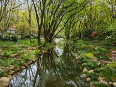 -上海共青森林公园