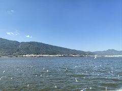 -滇池海埂公园