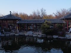 -中国唐苑
