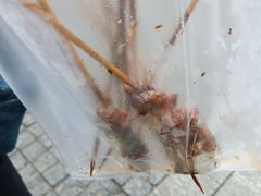-同来顺烧烤餐厅(哈尔滨道店)
