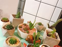 -蜜蜂小象·榴莲千层蛋糕(时代汇11栋店)