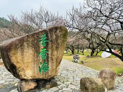 -香雪海