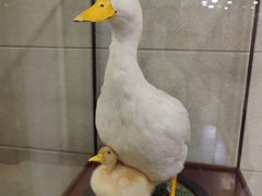 -西安烤鸭店(369烤鸭王店)