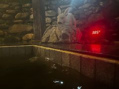 -宜春明月山维景国际温泉度假酒店