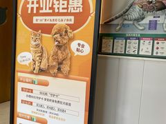 -关爱宠物医院·猫科中心·消化科(滨湖万达分院)