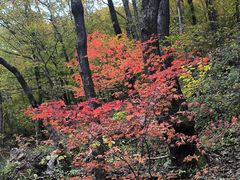 -丹东天桥沟景区