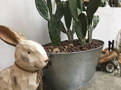 -拾壹cafe·工作室