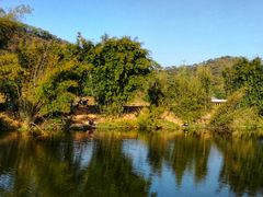 -风云岭森林公园