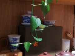 -百新书局(尚悦湾店)