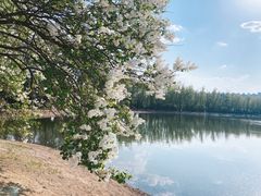 -森林公园(尖草坪区)