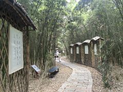 -同里国家湿地公园