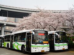 -上海南浦大桥长途旅游客运站