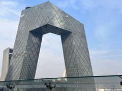 -羲和雅苑•北京烤鸭(国贸商城店)