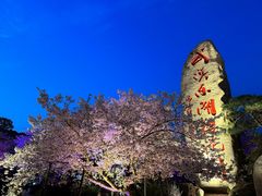 -东湖磨山景区樱花园-停车场