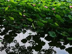 -西南交通大学(九里校区)