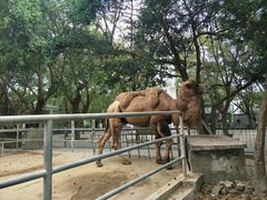-广东茂名森林公园