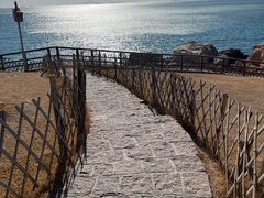 -小麦岛公园