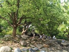 -无锡梅园公园
