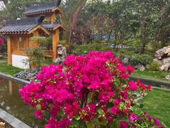 -惠山古镇·寄畅园