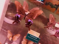 -陕西自然博物馆