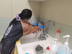 -达爱动物医院·犬猫分区·CT·复杂眼科(远洋山水分院)