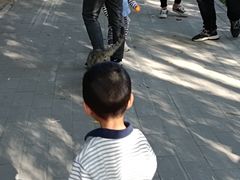 -东升文体公园