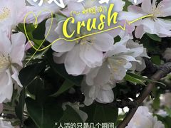 -朝阳公园