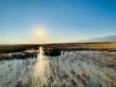 -野鸭湖国家湿地公园