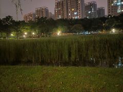 -天鹅湖体育公园