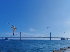 -星海广场