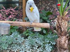 -南宫五洲植物乐园