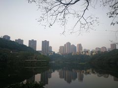 -重庆彩云湖湿地公园