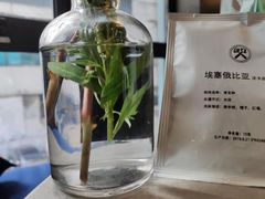 -Nectar One Cafe(勇烈路n1店)