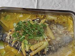 -陈生记黑鱼馆·20年活鱼现杀(宁波鼓楼店)